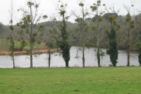Ravalement Façade Isolant Entreprise isolation extérieure Muzillac